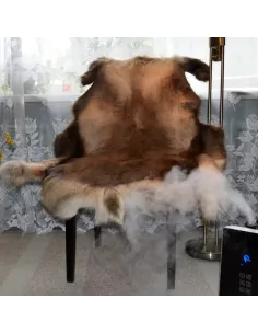 Mountain fox - Vector graphics 2